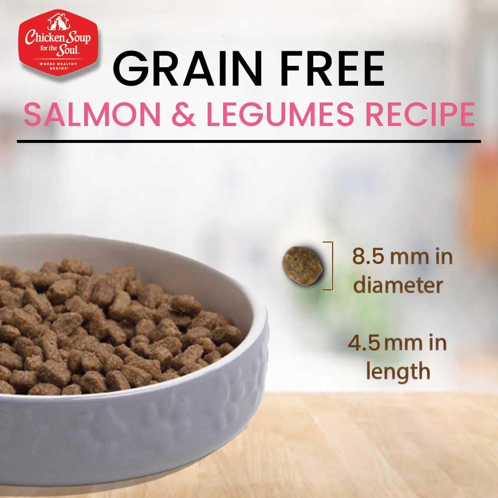 All Natural Grain-Free Dry Cat Food Salmon & Legumes 4lb R58682