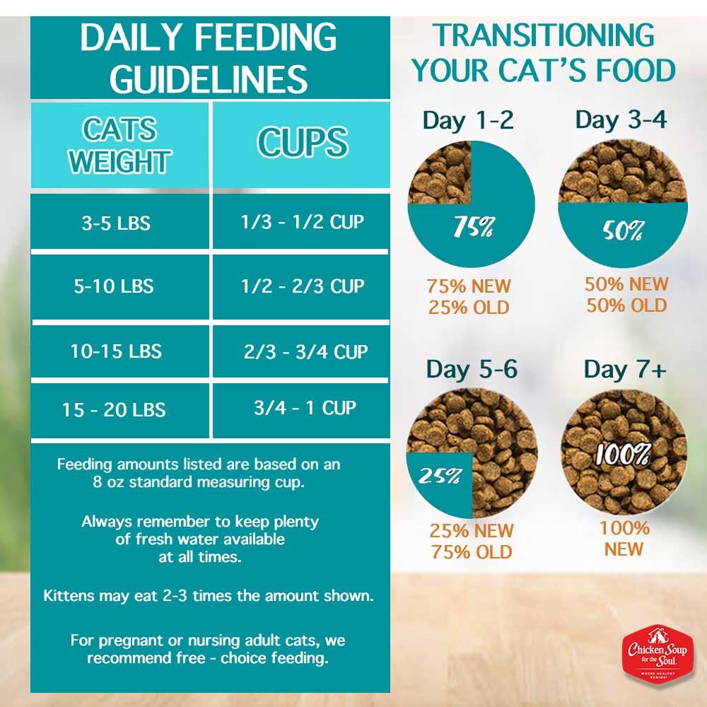 All Natural Grain-Free Dry Cat Food Salmon & Legumes 4lb R58682
