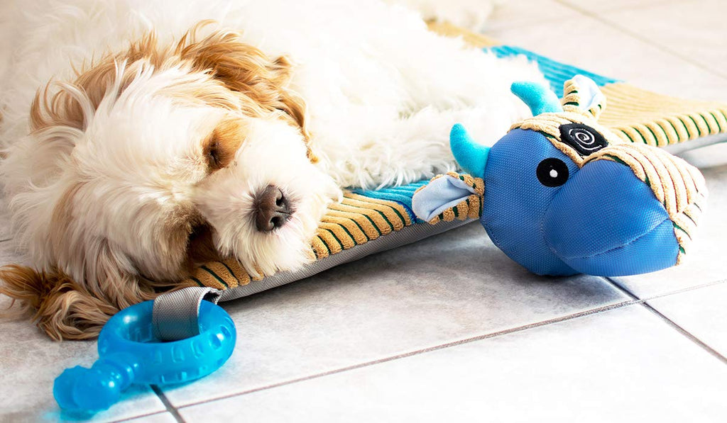 Puppy Play Mat with Teething Toys N93705