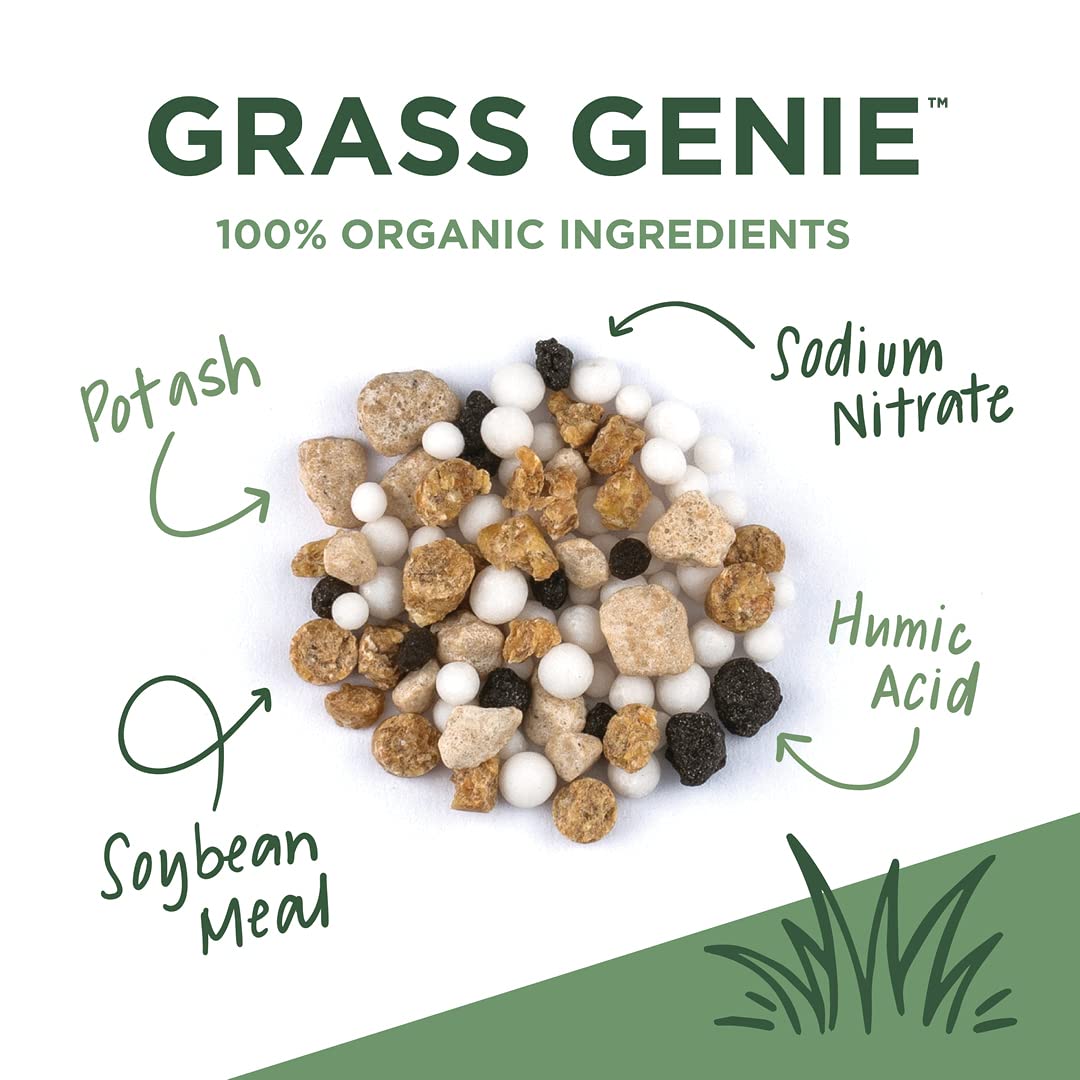 10-0-6 Organic Grass Fertilizer 32 lb Bag H280