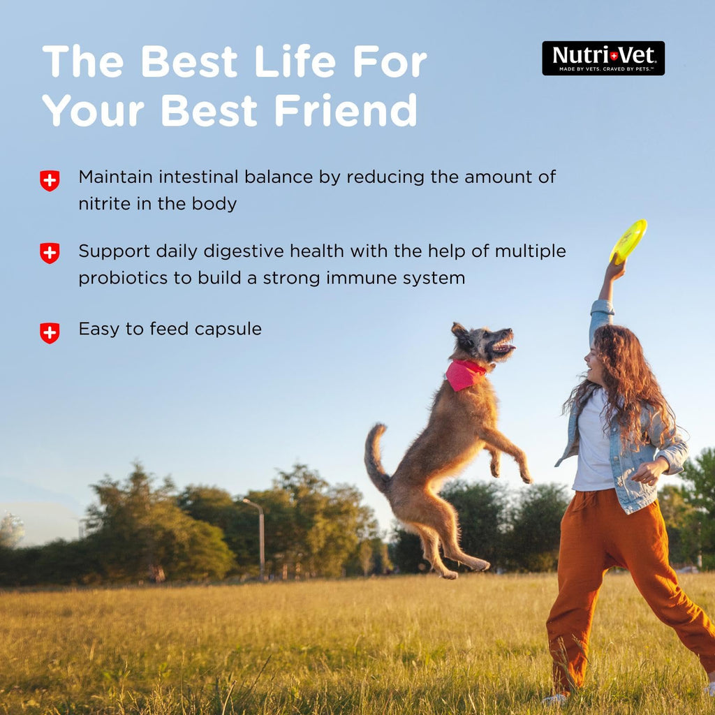 Probiotics for Dogs 60 Count R8122