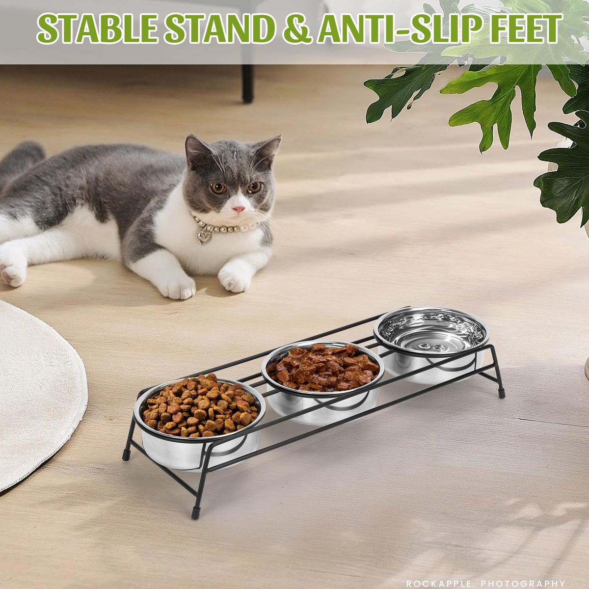 Raised 3 Stainless Steel Elevated Pet Bowls Y536044