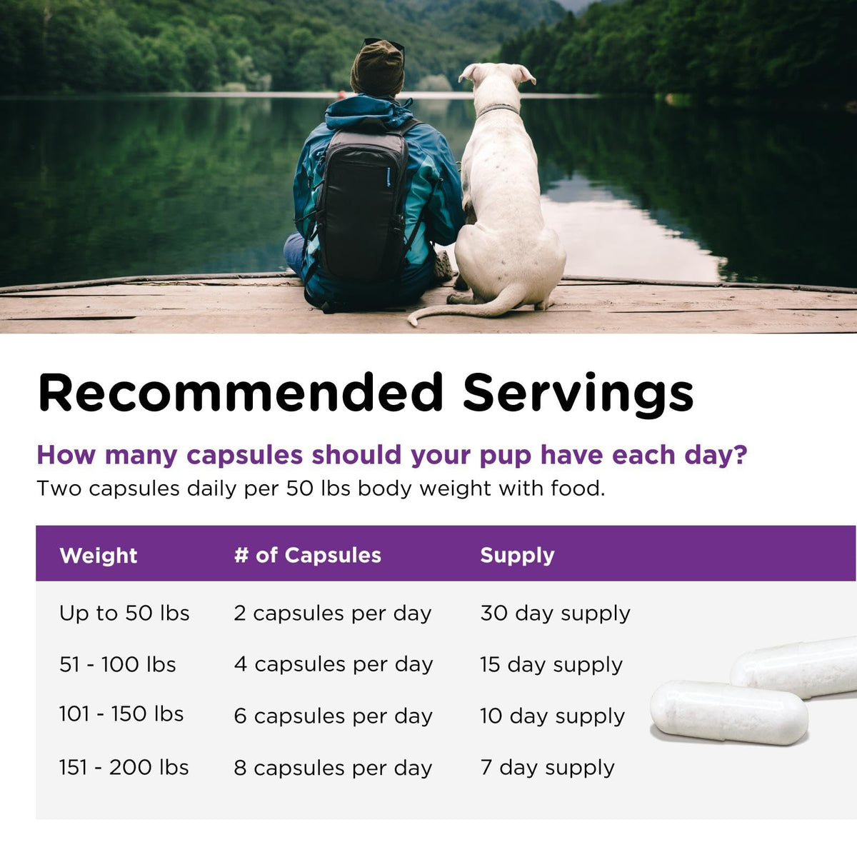 Probiotics for Dogs 60 Count R8122