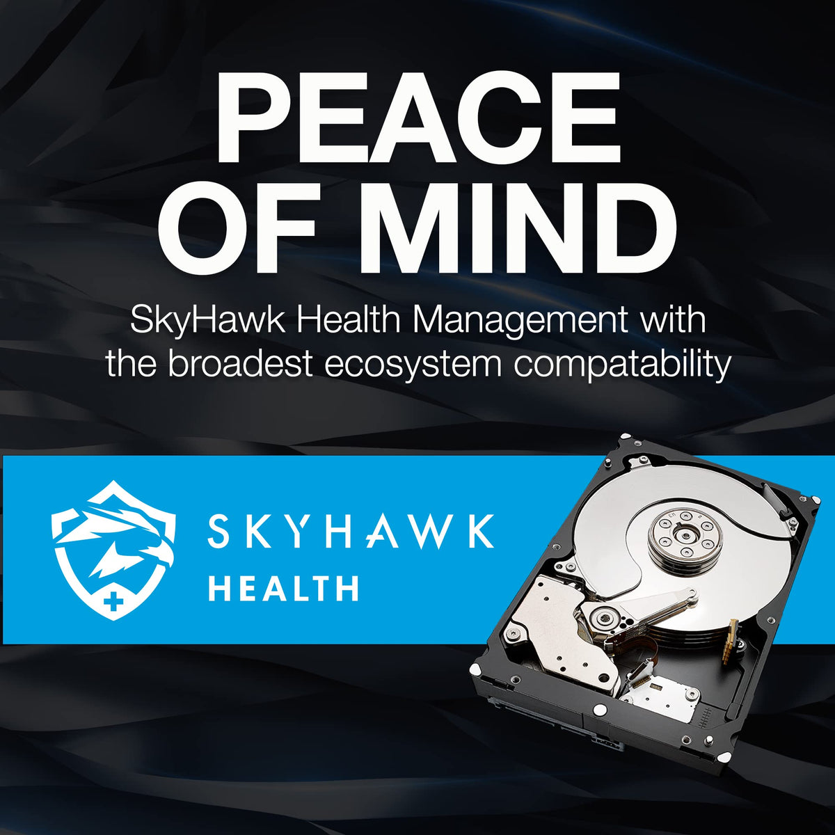 8TB 3.5 Inch SATA Internal Hard Drive T922