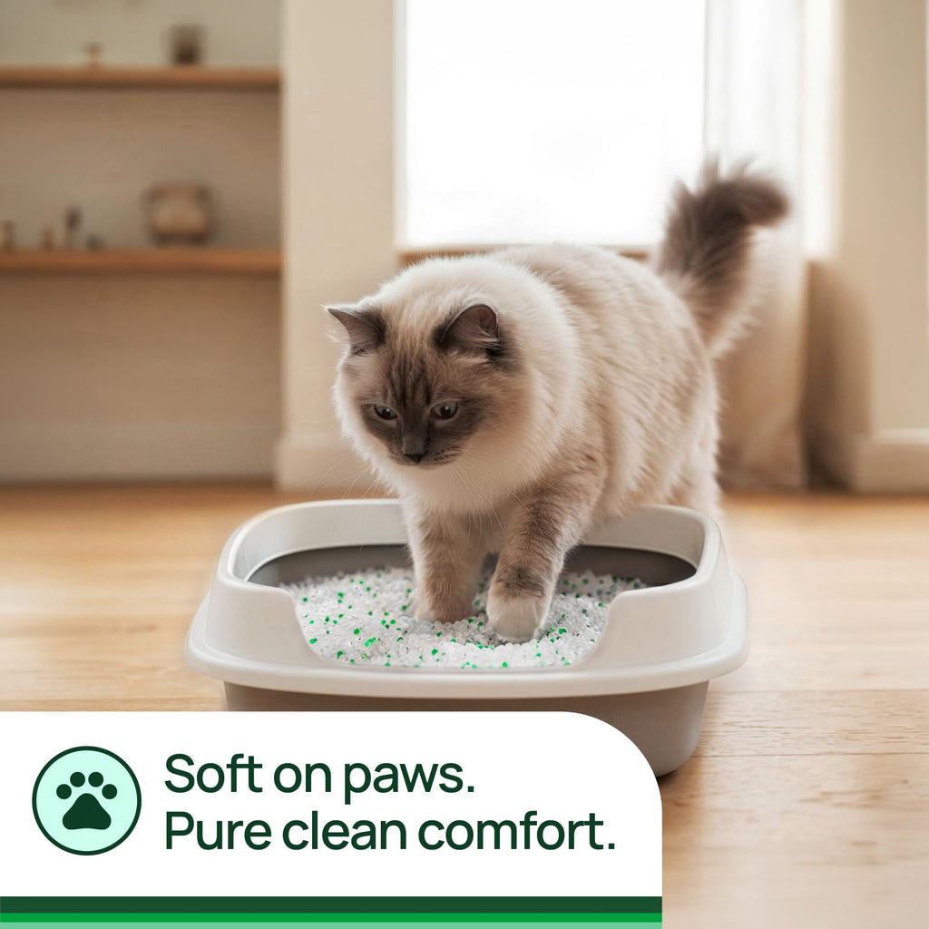 Unscented Non-Clumping Crystal Cat Litter, 7 lb Y3816