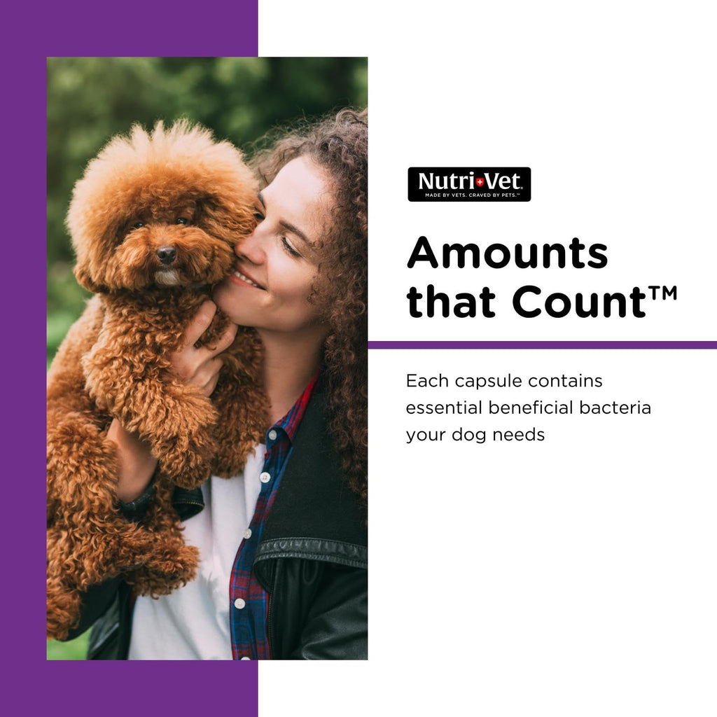 Probiotics for Dogs 60 Count R8122