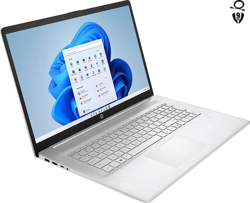 17.3" Full HD Laptop, AMD Ryzen 5, 8GB RAM, 512GB SSD, Natural Silver Z2078