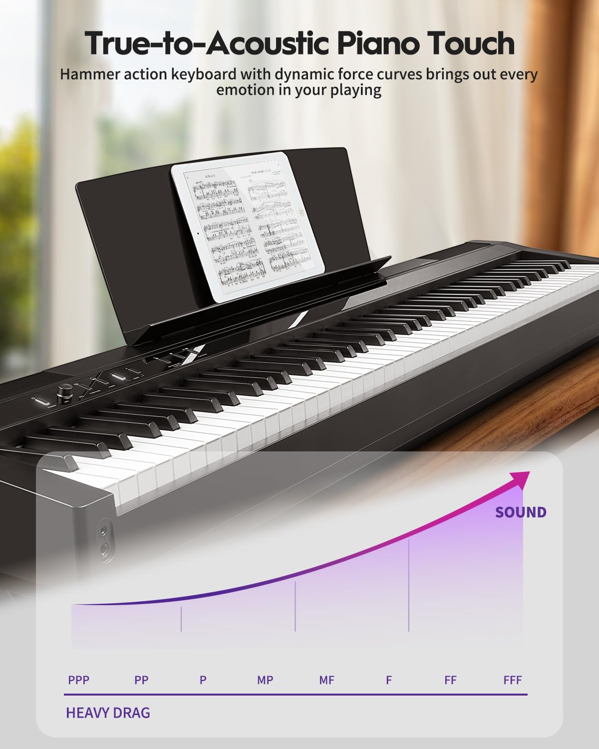 88 Key Weighted Hammer-Action Digital Piano with Sustain Pedal, Black V7776
