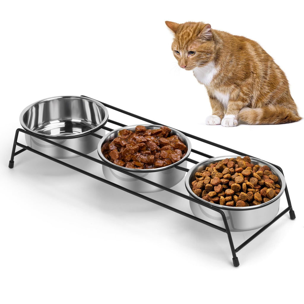 Raised 3 Stainless Steel Elevated Pet Bowls Y536044