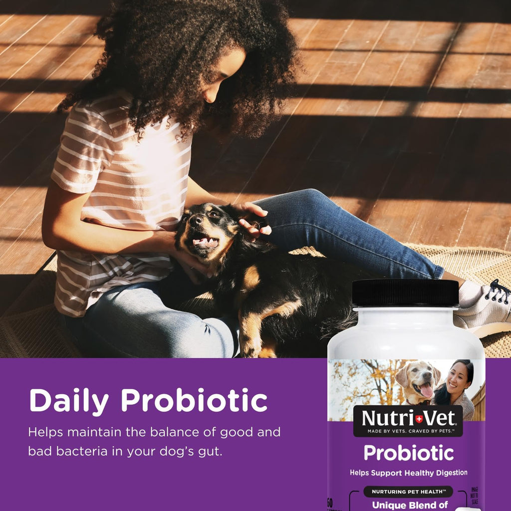 Probiotics for Dogs 60 Count R8122