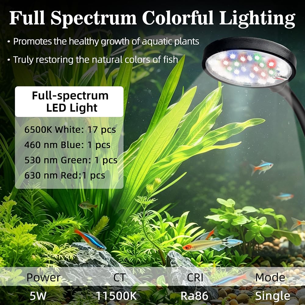 1 Gallon Plastic Aquarium Starter Kit with USB Filtration and Lighting X20486