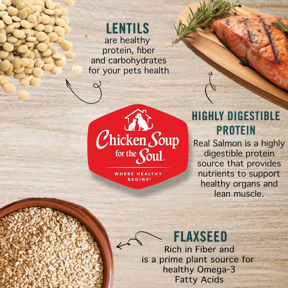 All Natural Grain-Free Dry Cat Food Salmon & Legumes 4lb R58682