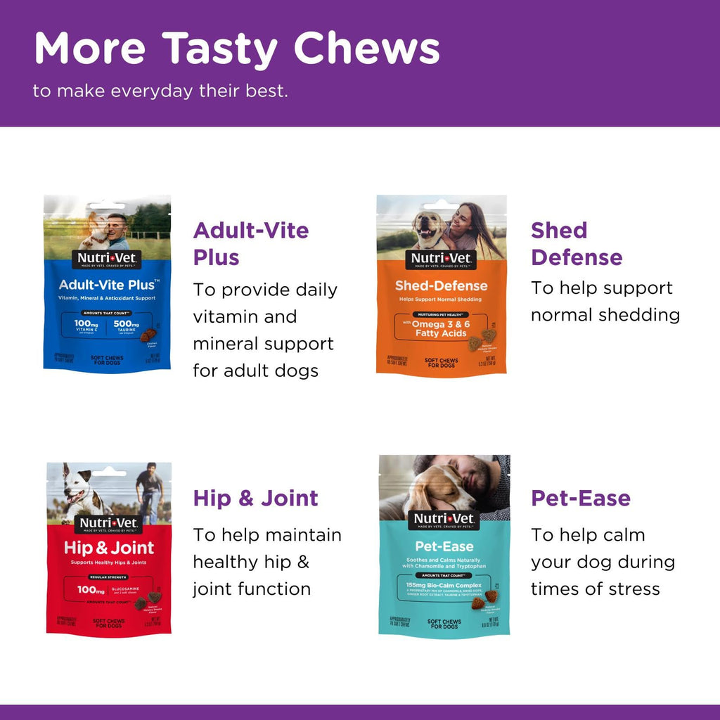 Probiotics for Dogs 60 Count R8122