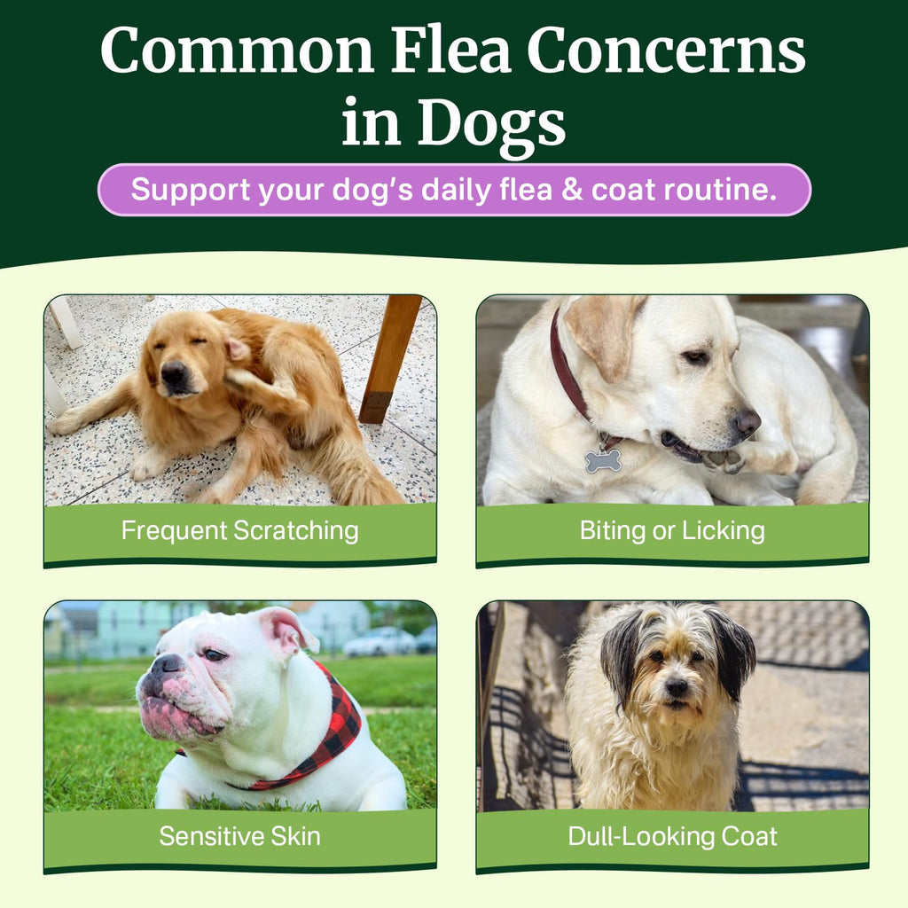 Dog Flea and Tick Prevention Chewables H8655