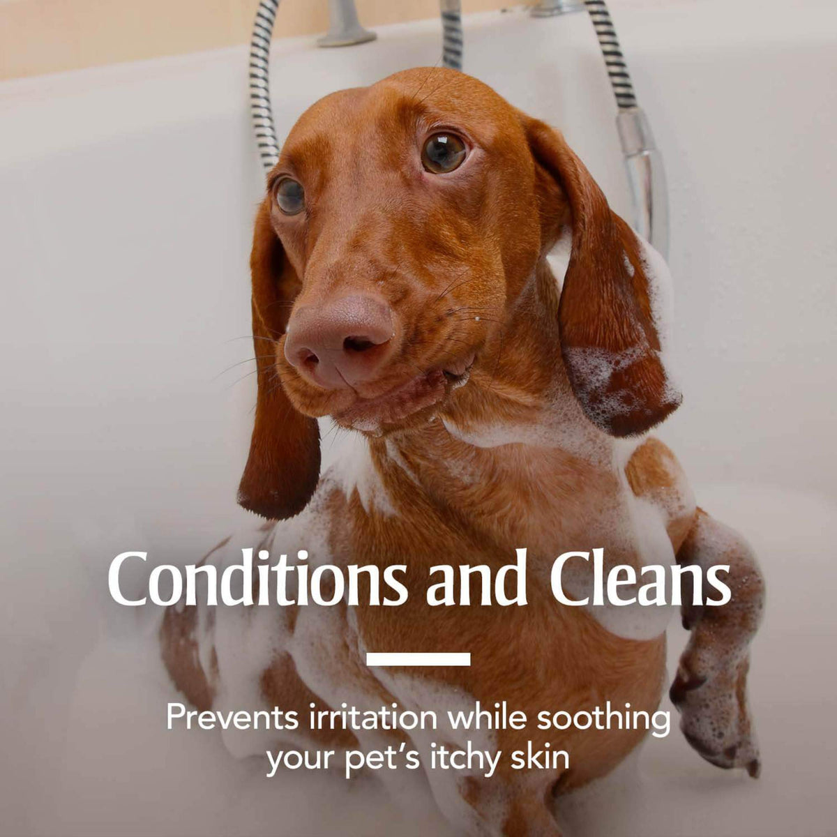Oatmeal Flea & Tick Shampoo Dogs 18oz I331