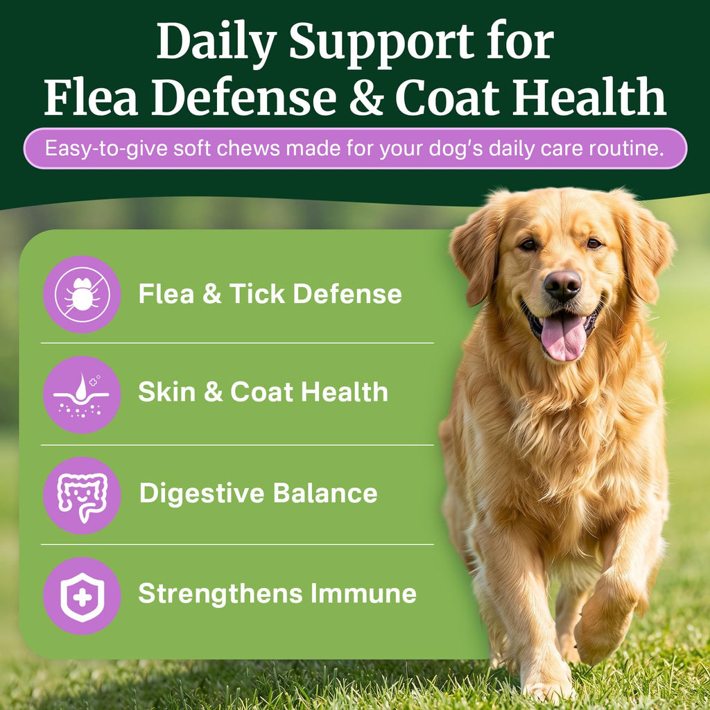 Dog Flea and Tick Prevention Chewables H8655