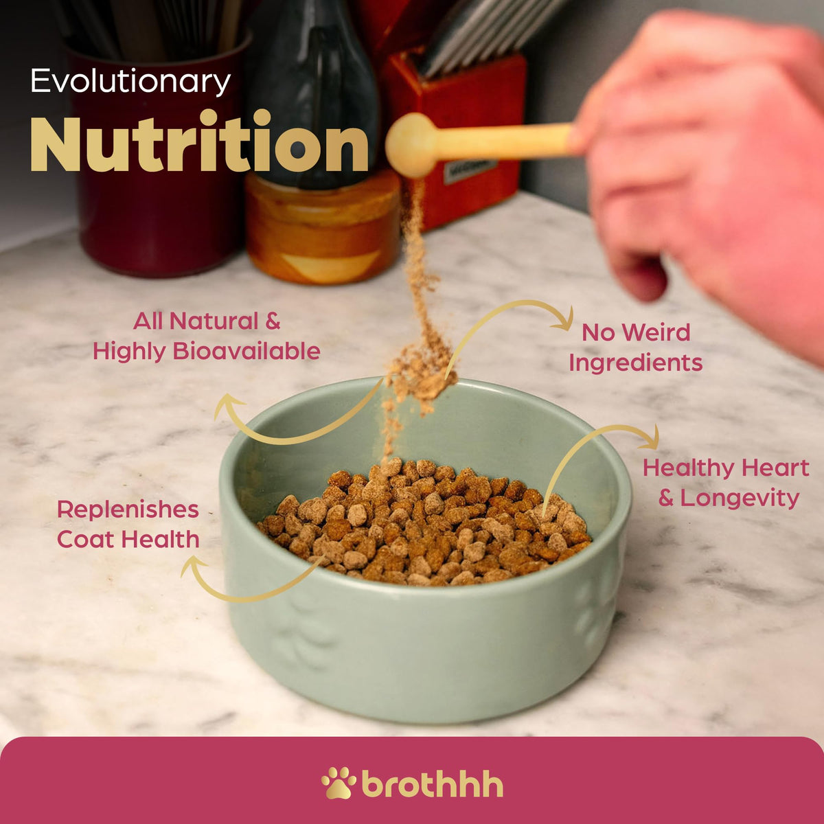 Beef Organ Bone Broth Meal Topper for Dogs L42770