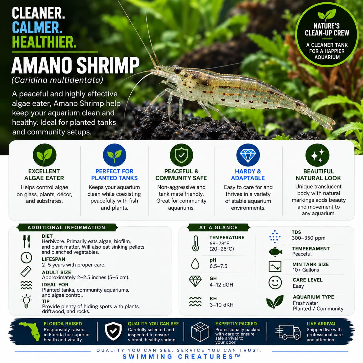 10 Freshwater Aquarium Shrimp Live E4055