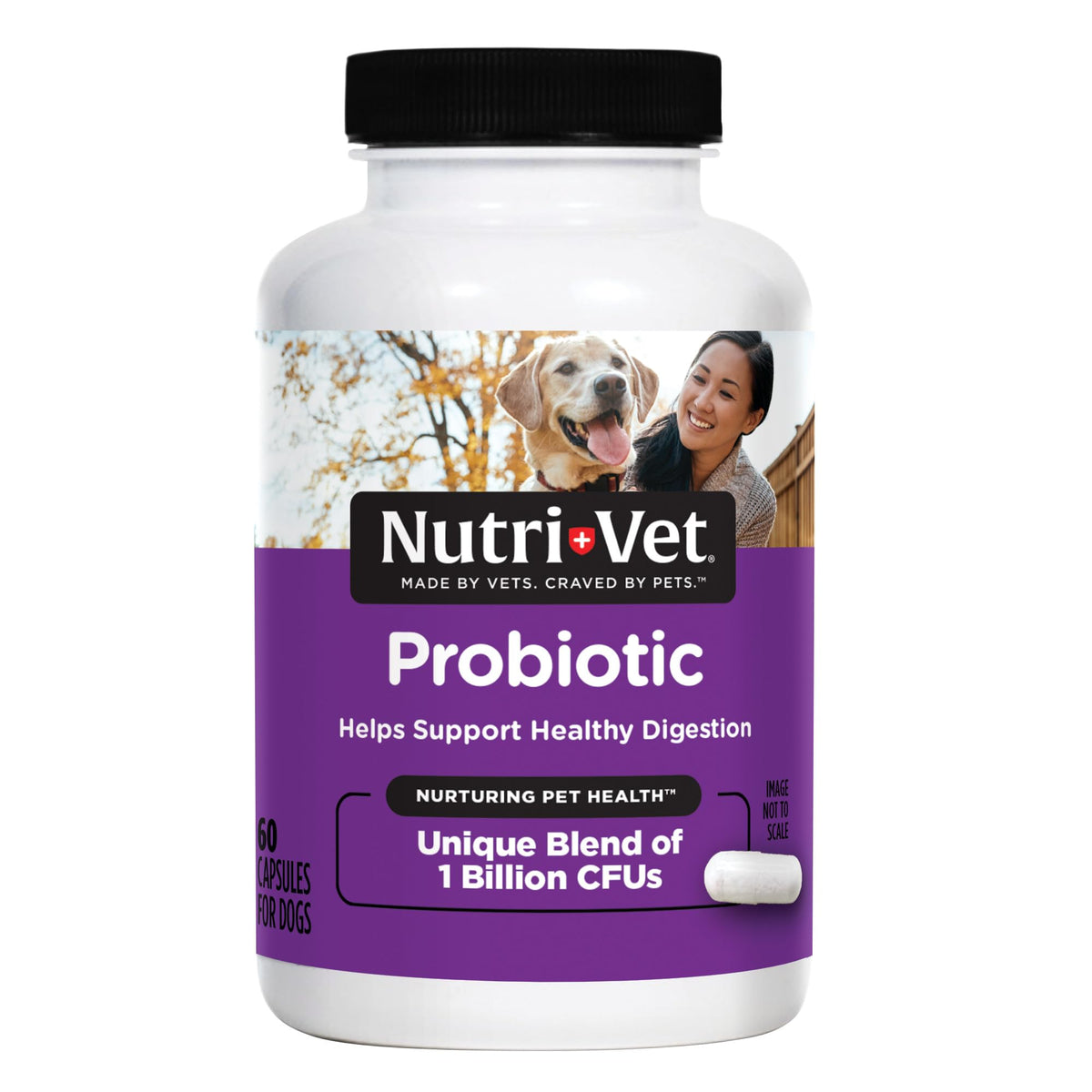 Probiotics for Dogs 60 Count R8122