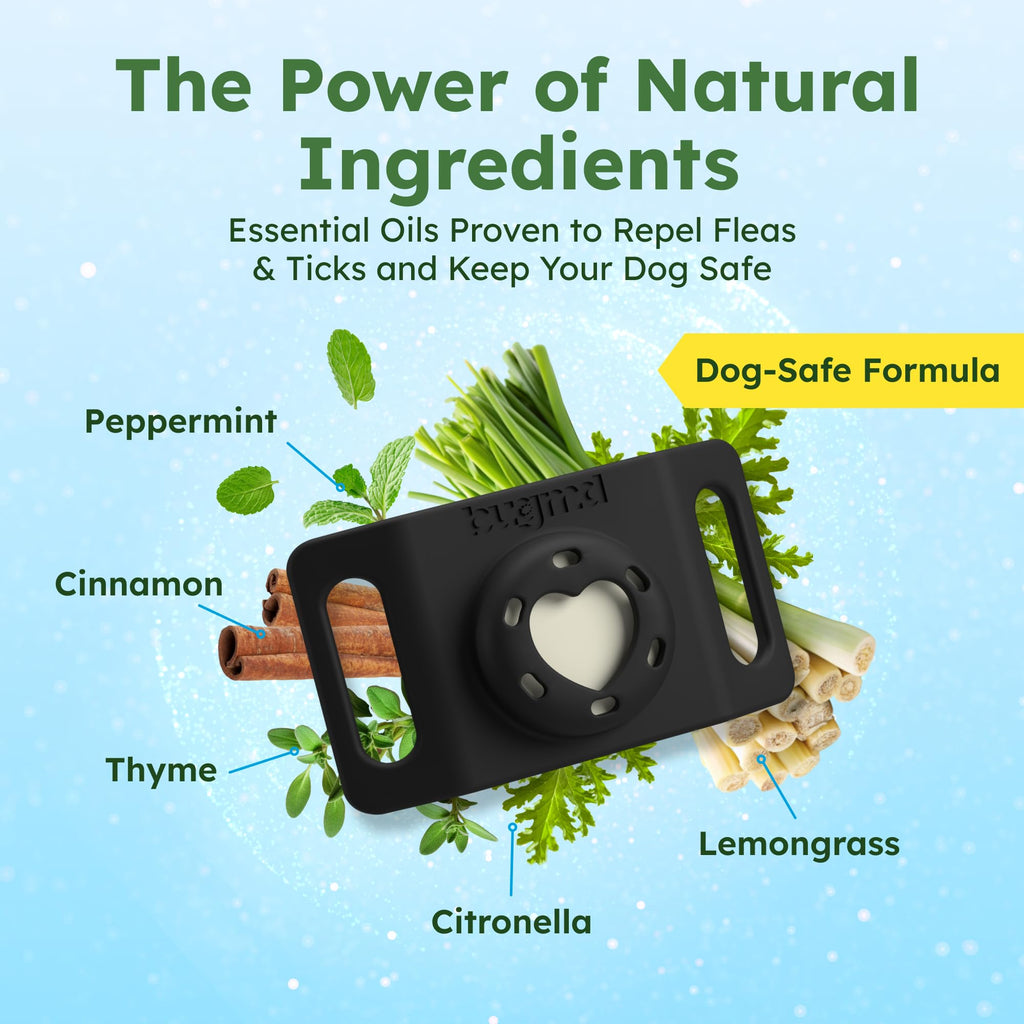 Flea and Tick Prevention Pendant for Dogs V15489