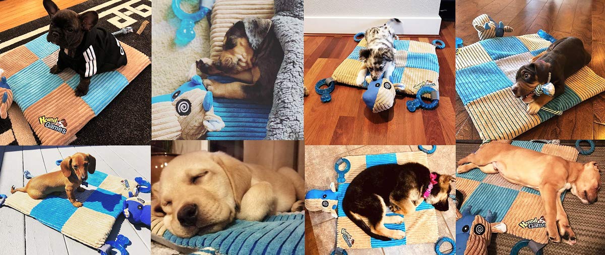 Puppy Play Mat with Teething Toys N93705