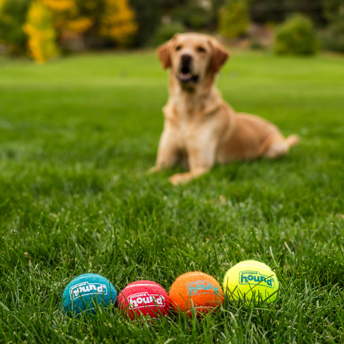 Squeaker Ballz Tennis Ball Dog Toy 4-Pack W8537