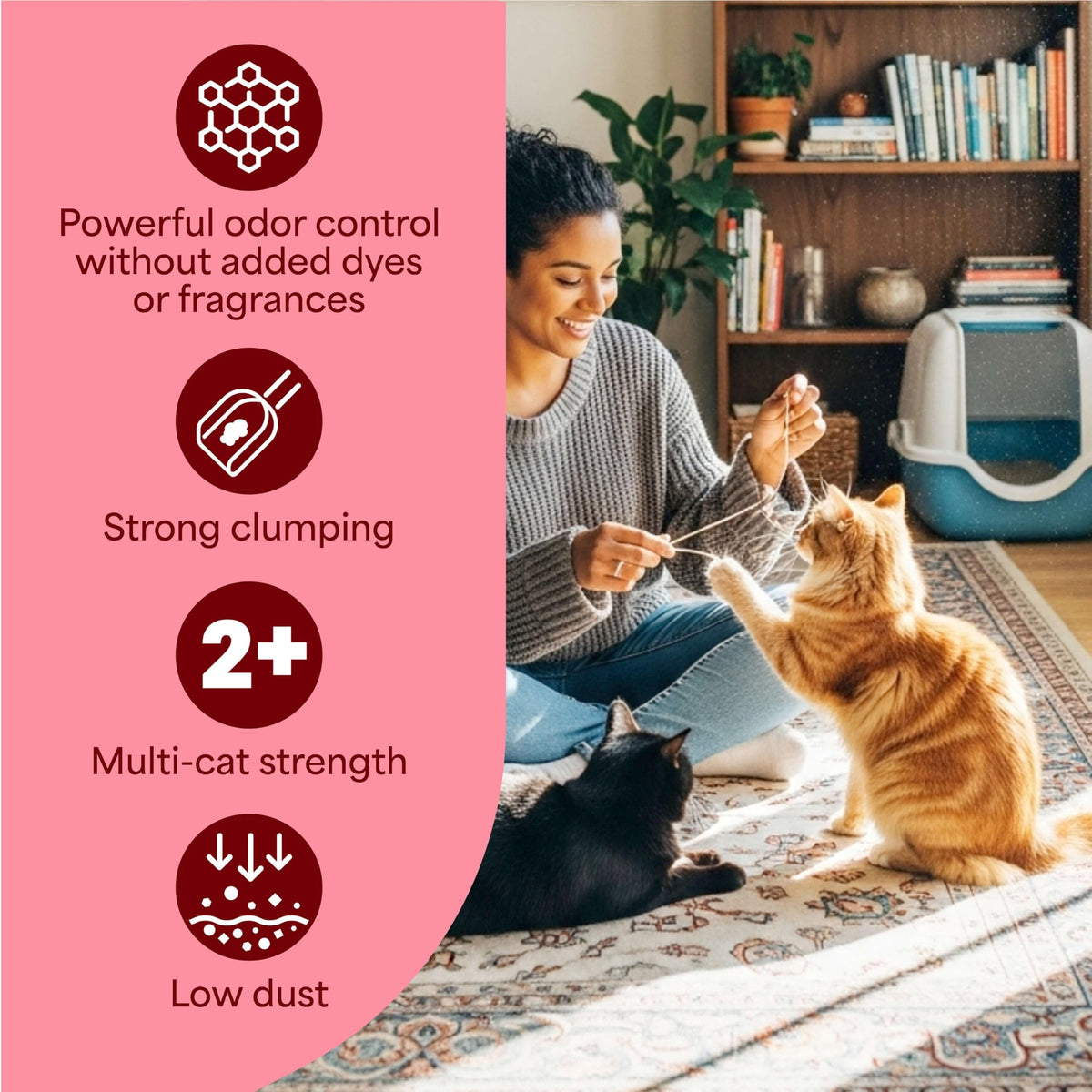 Unscented Clumping Cat Litter with Activated Charcoal, 14 lb D537