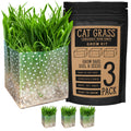 Organic Cat Grass Kit 3 Pack Non GMO Heirloom Seeds B7424