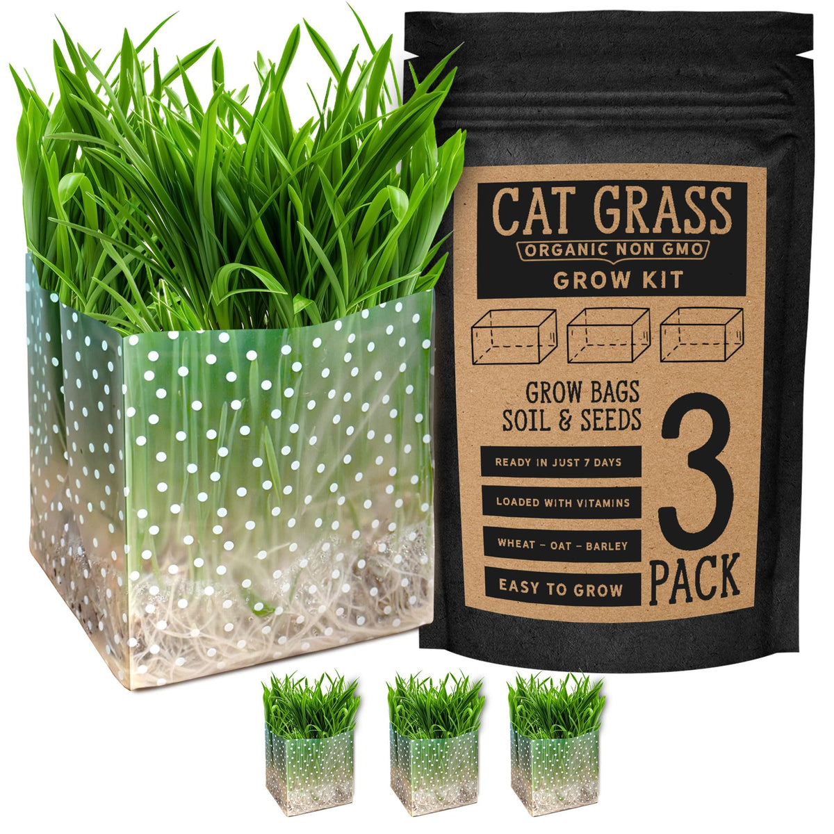 Organic Cat Grass Kit 3 Pack Non GMO Heirloom Seeds B7424