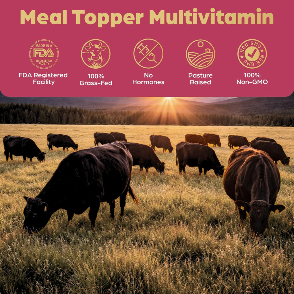 Beef Organ Bone Broth Meal Topper for Dogs L42770
