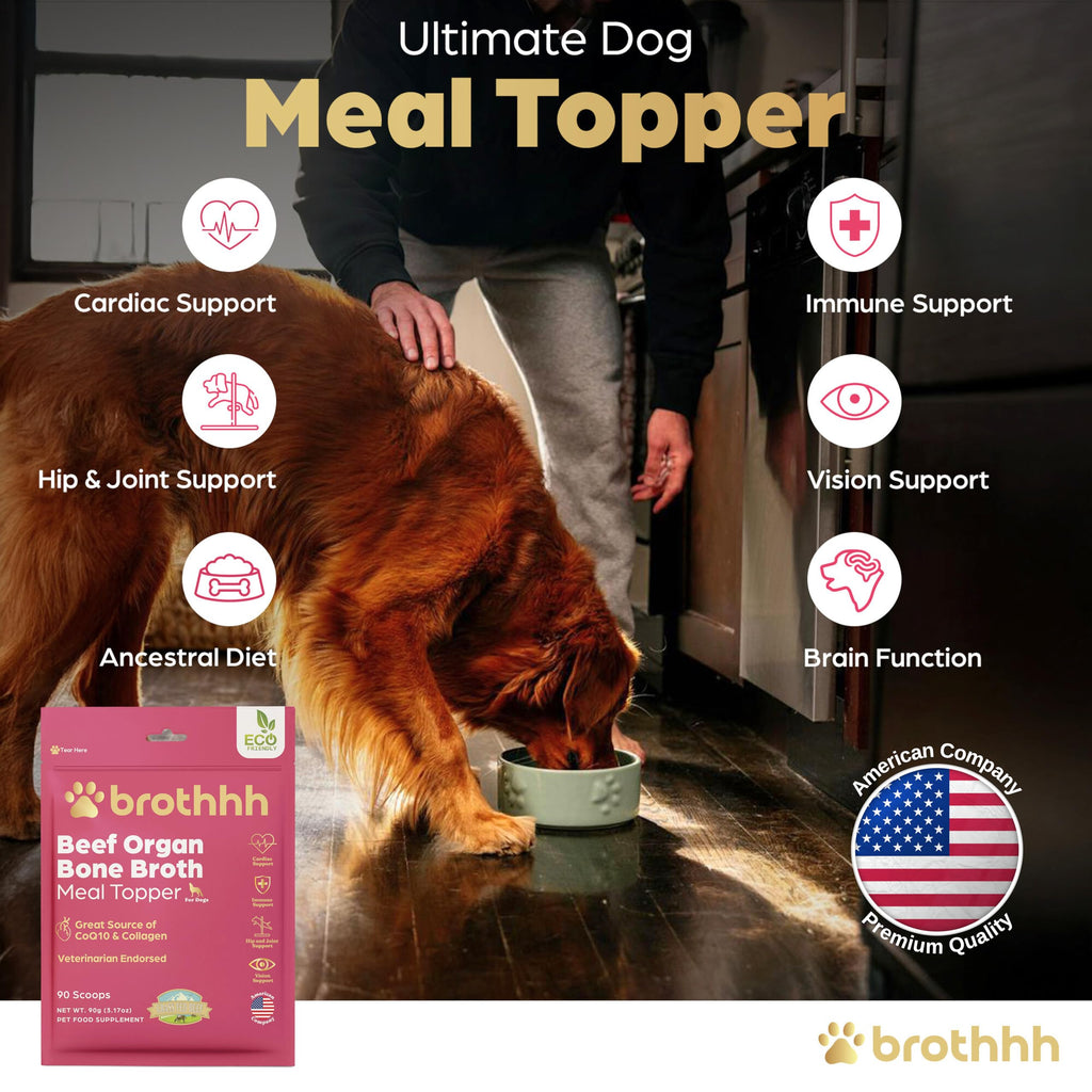 Beef Organ Bone Broth Meal Topper for Dogs L42770