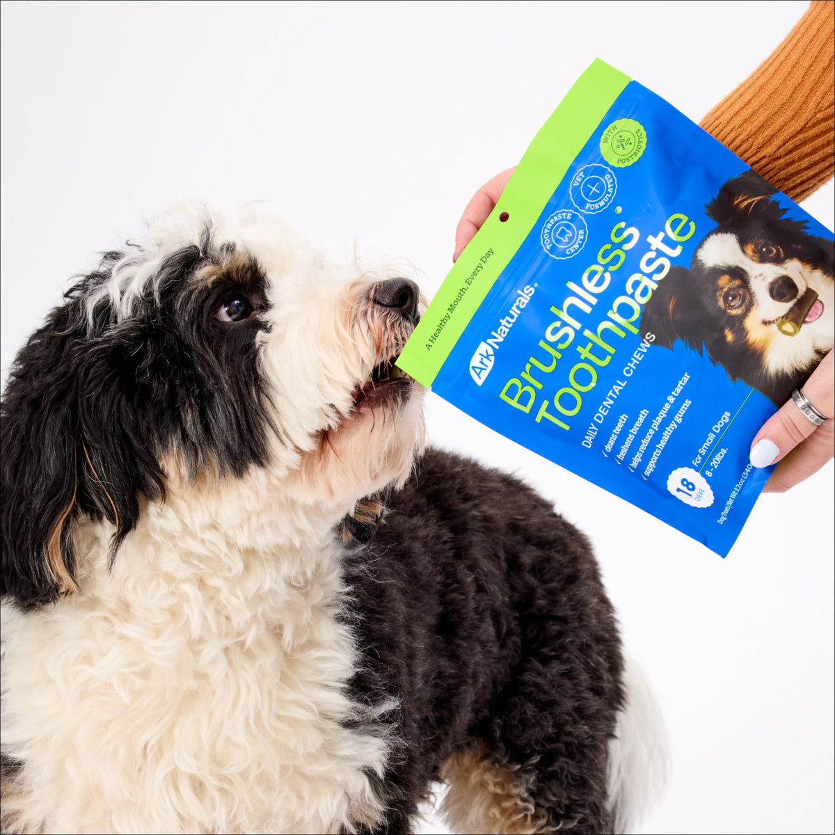 Brushless Toothpaste Dog Dental Treats Small Breeds 18 ct Q9014
