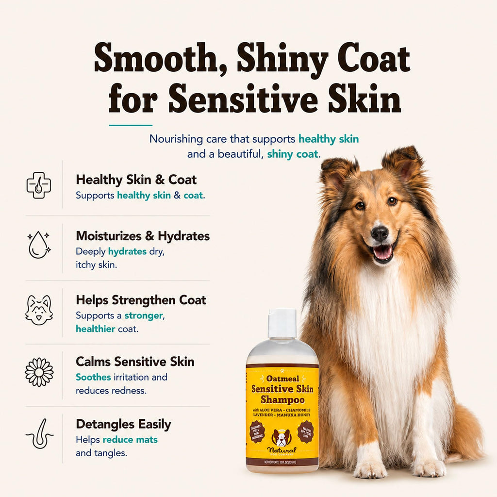 Sensitive Skin Dog Shampoo 12 oz G381661