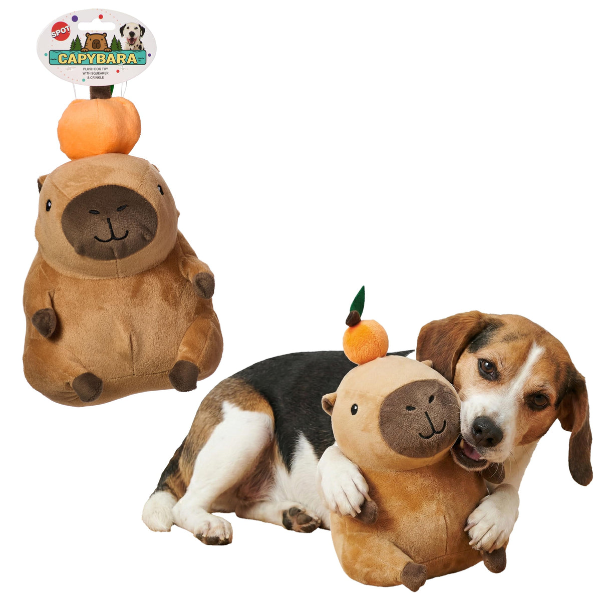 Soft Stuffed Squeaky Crinkle Capybara Dog Toy 8 Inch W25053