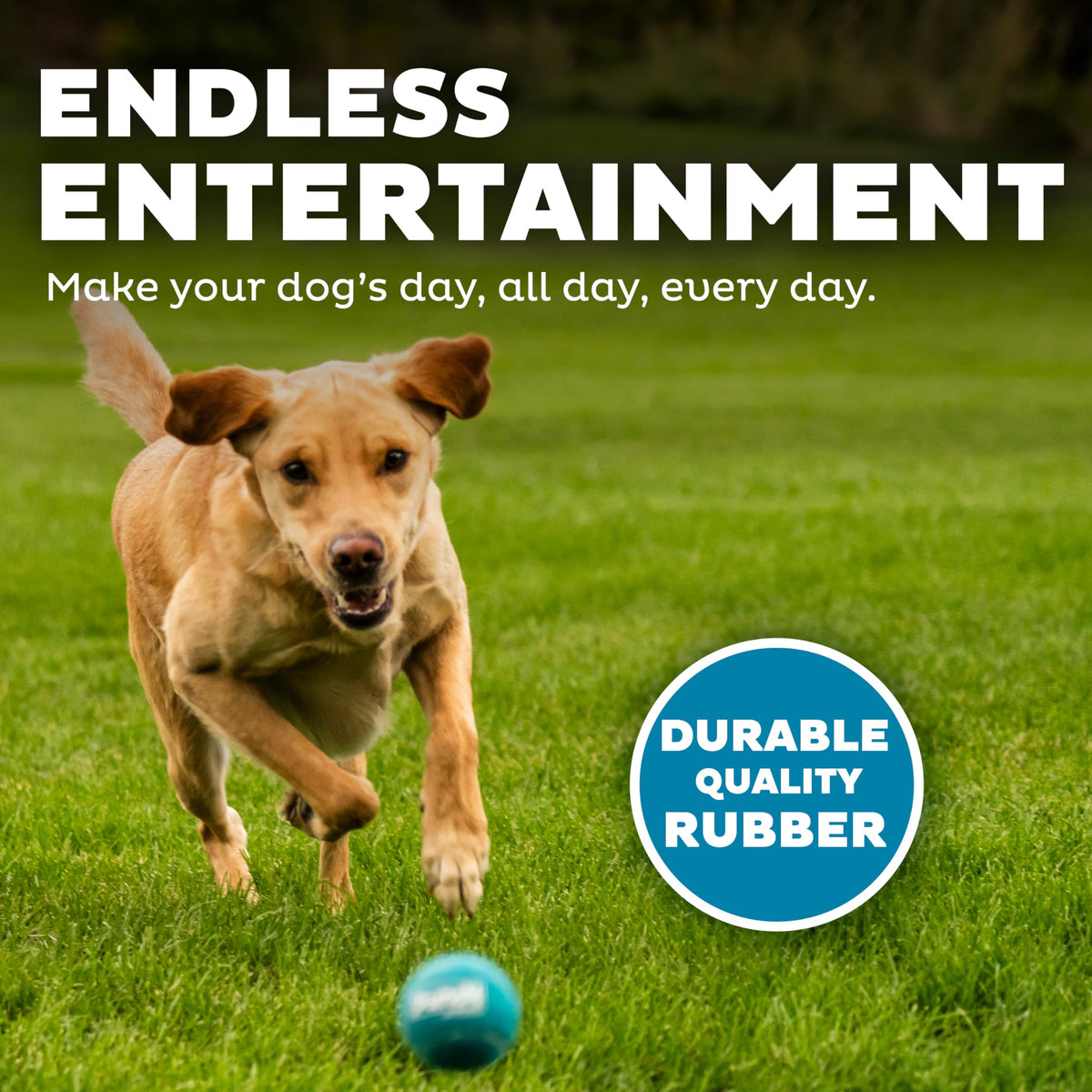 Squeaker Ballz Tennis Ball Dog Toy 4-Pack W8537