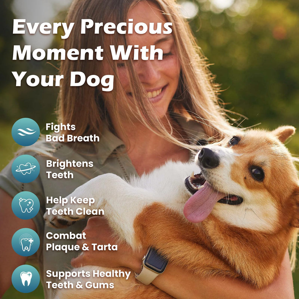 Dog Teeth Cleaning Powder, Dental Powder and Breath Freshener, 200 Grams Z7206