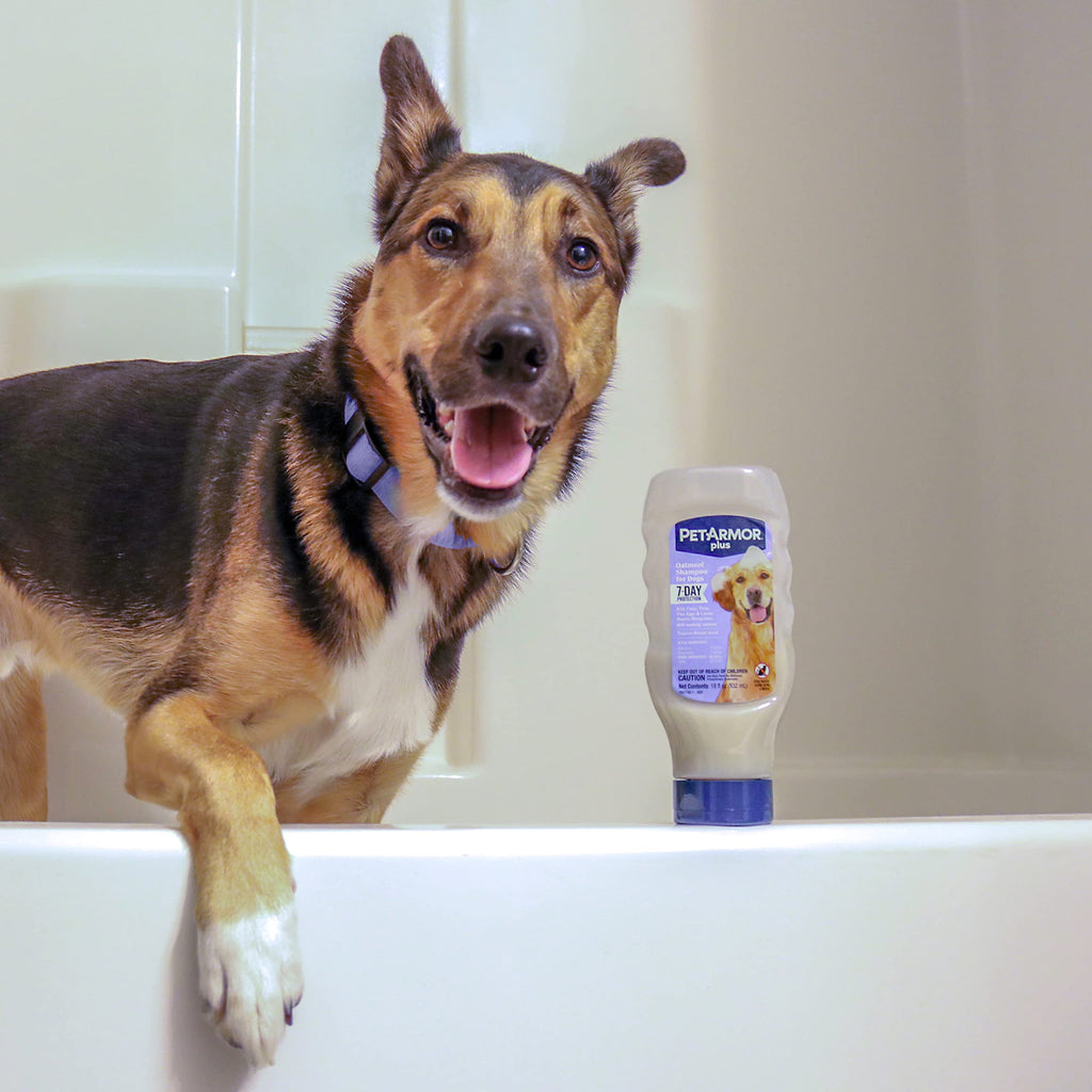 Oatmeal Flea & Tick Shampoo Dogs 18oz I331