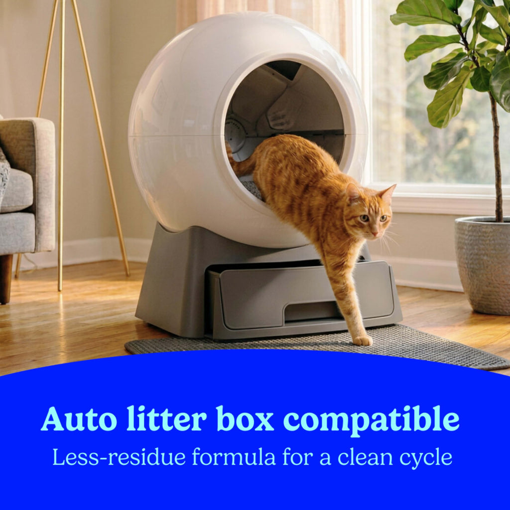 Unscented Clumping Cat Litter with Activated Charcoal, 14 lb D537