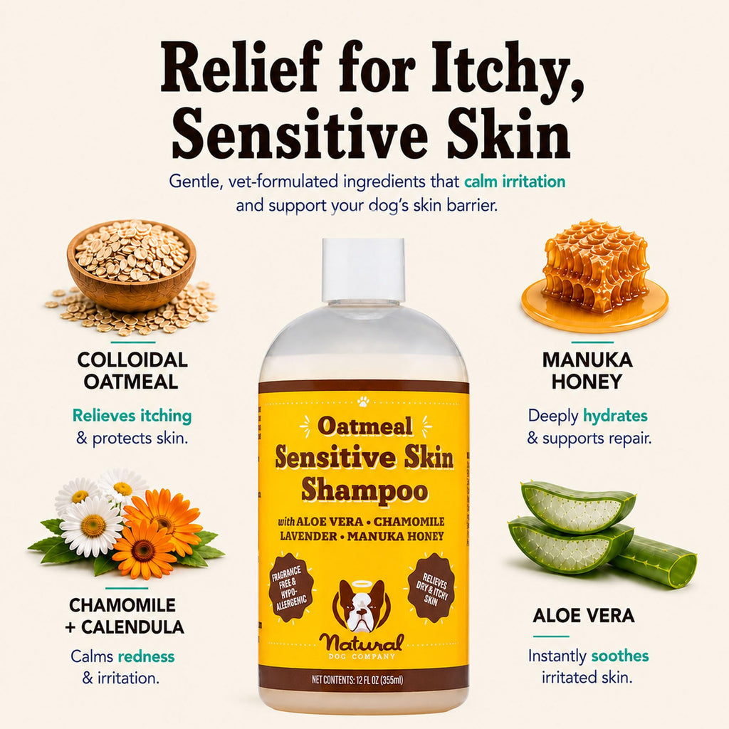Sensitive Skin Dog Shampoo 12 oz G381661