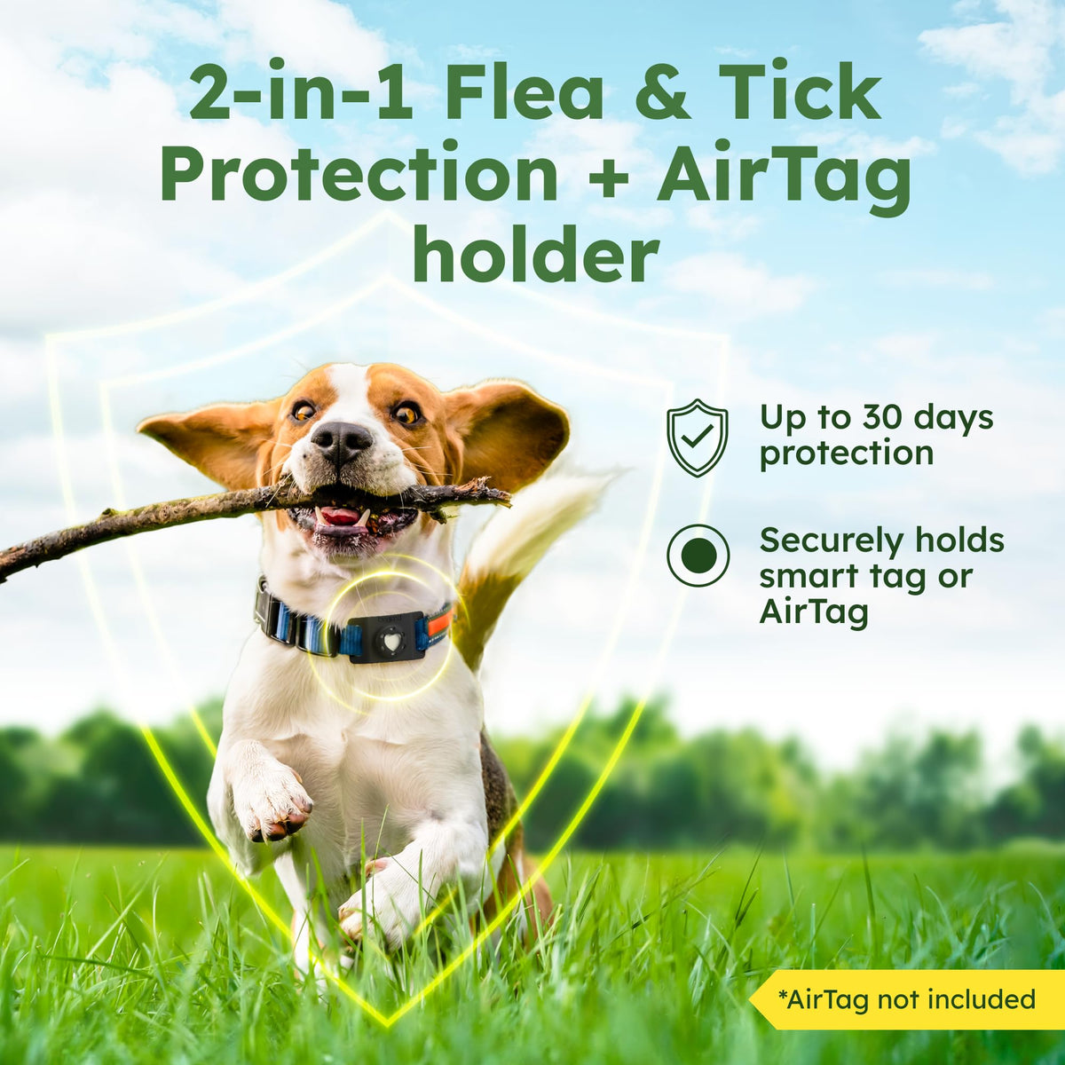 Flea and Tick Prevention Pendant for Dogs V15489
