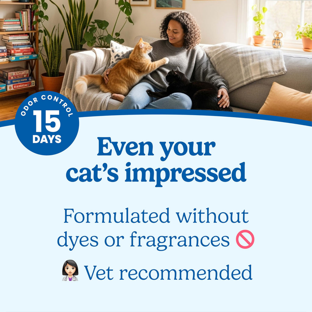Unscented Clumping Cat Litter with Activated Charcoal, 14 lb D537