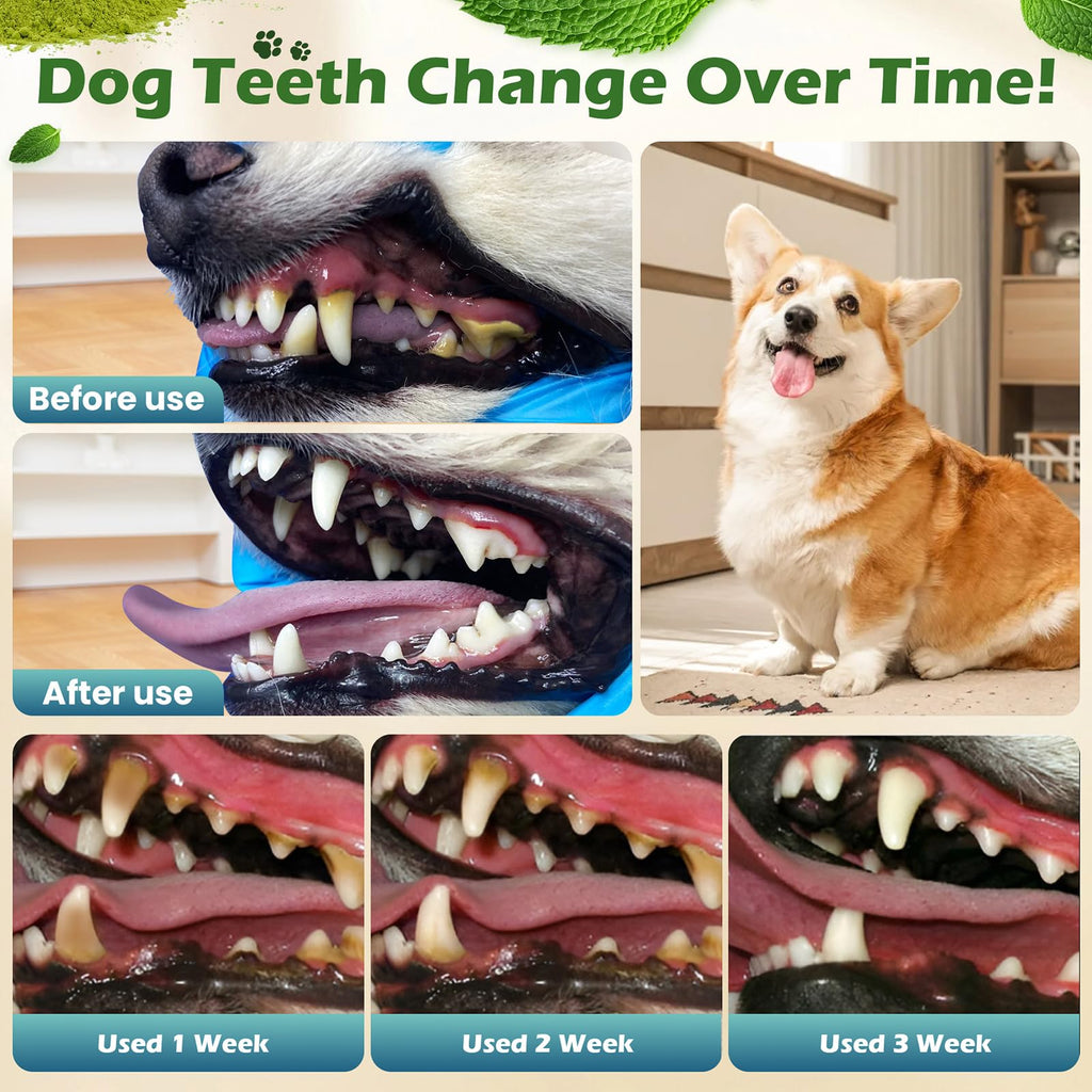 Dog Teeth Cleaning Powder, Dental Powder and Breath Freshener, 200 Grams Z7206