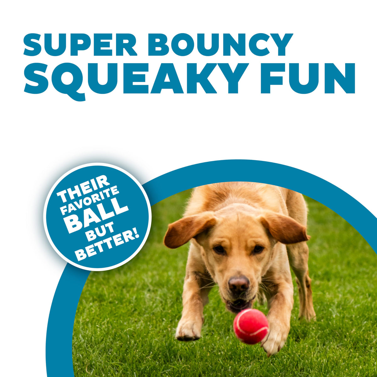 Squeaker Ballz Tennis Ball Dog Toy 4-Pack W8537