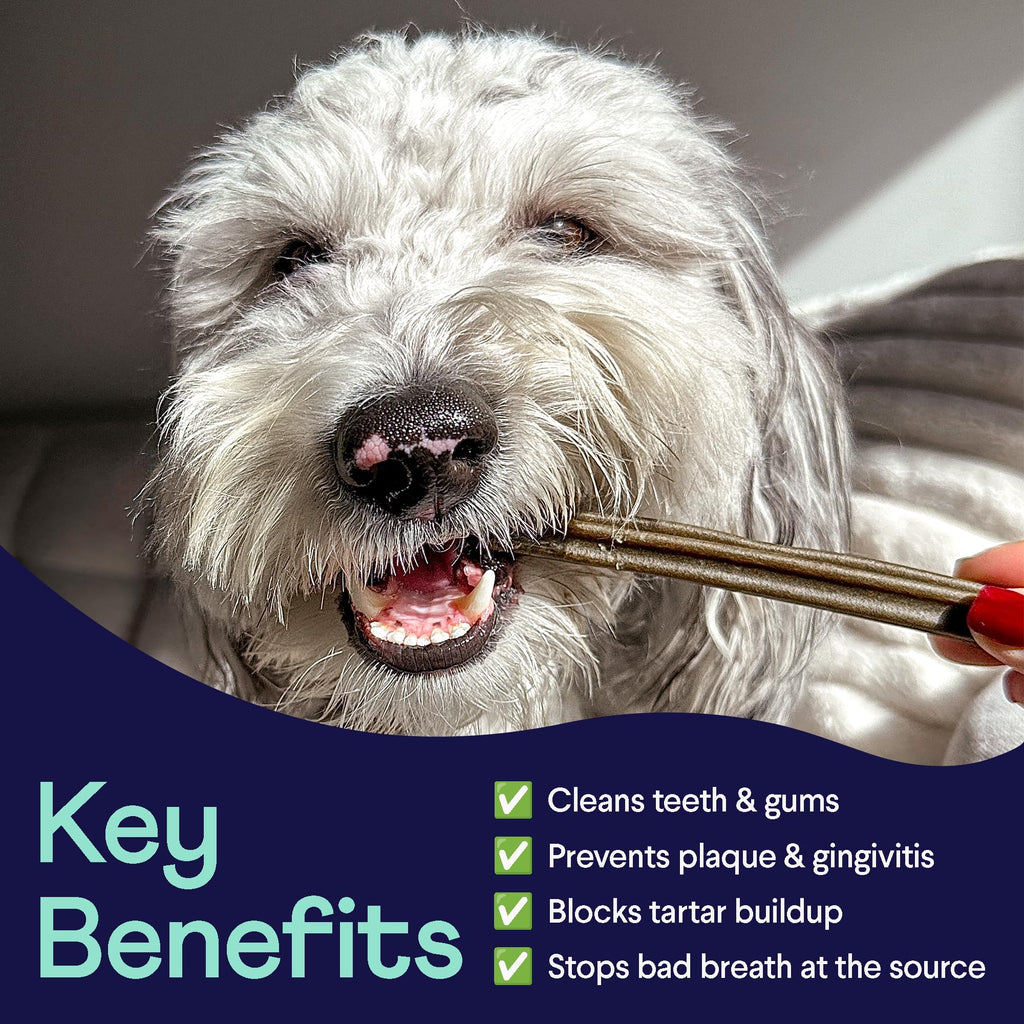 Dental Chews for Dogs 25+ lbs Y15107